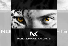 Photo of Angelus – Nocturnal Knights 026